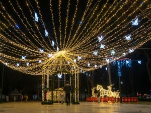 Energy-Efficient Lighting for Every Outdoor Space